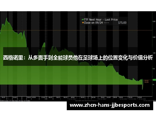 西格诺里:从多面手到全能球员他在足球场上的位置变化与价值分析 西格诺里:从多面手到全能球员他在足球场上的位置变化与价值分析