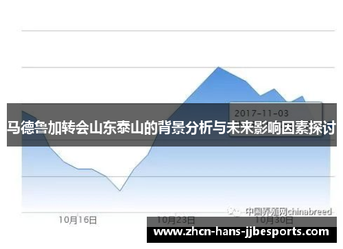 马德鲁加转会山东泰山的背景分析与未来影响因素探讨