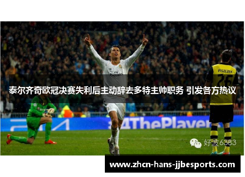 泰尔齐奇欧冠决赛失利后主动辞去多特主帅职务 引发各方热议 泰尔齐奇欧冠决赛失利后主动辞去多特主帅职务 引发各方热议